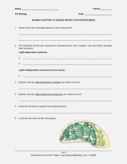41 Inventive 41th Grade Science Worksheets Free Printable