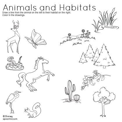Animals And Habitats Matching Worksheet