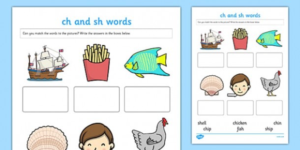 Ch  And  Sh  Sounds Matching Activity Worksheet