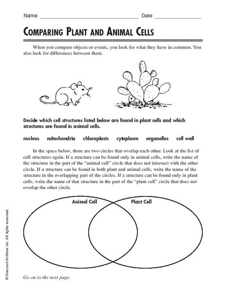 plant-vs-animal-cell-worksheet