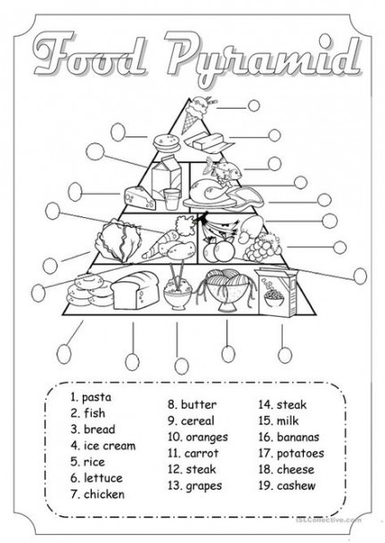 Food Pyramid Worksheet