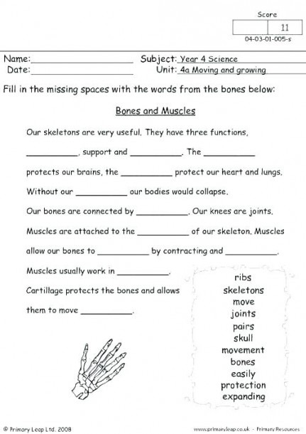 5th-grade-health-worksheets