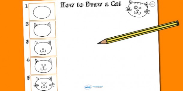 How To Draw A Cat Worksheet