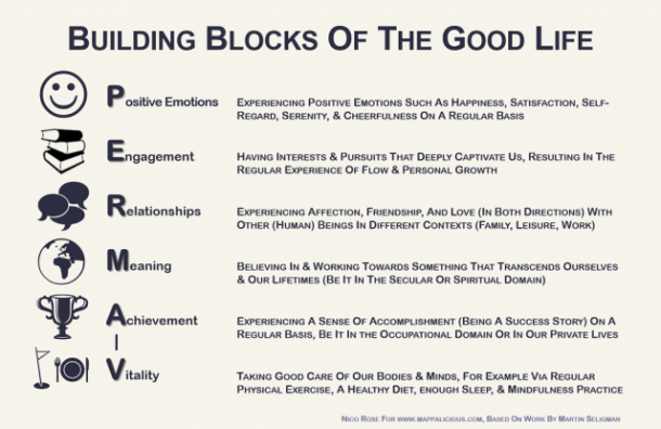 Infographic  Building Blocks Of The Good Life  Perma