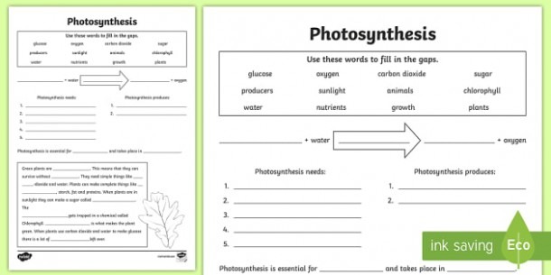 Photosynthesis Worksheet Pdf Twinkl