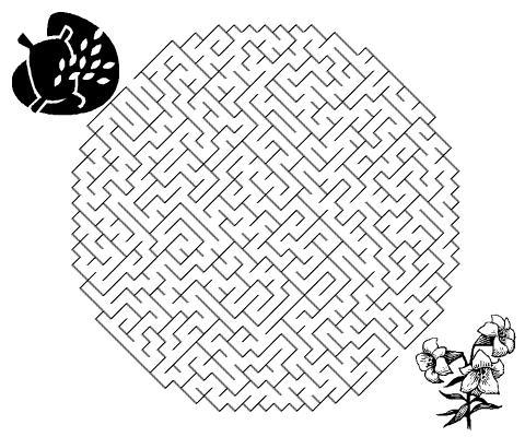 Plants Maze Worksheet