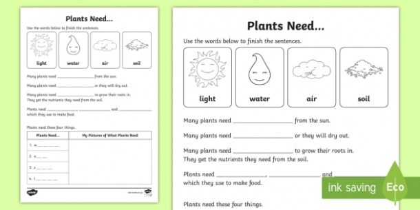 Plants Need Worksheet   Worksheet