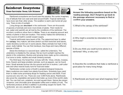 Rainforest Ecosystems