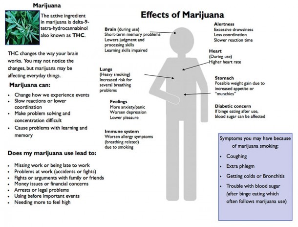 Marijuana Education Worksheet