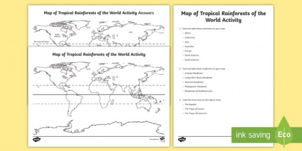 Tropical Rainforests World Worksheet   Worksheets