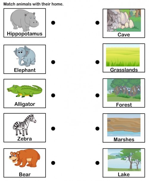 Animals And Their Habitats Worksheets Kindergarten   1st Grade