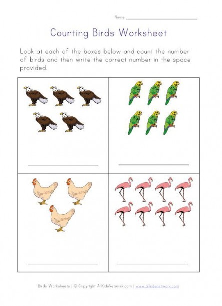 bird-worksheets-for-preschool