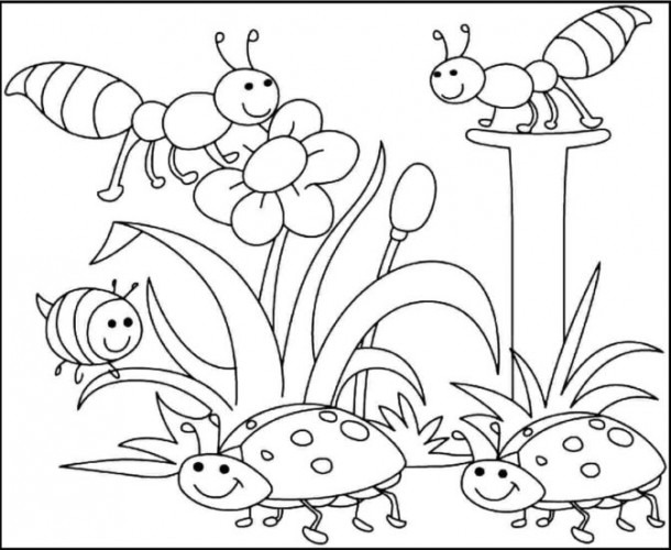 Coloring Book   35 Amazing Spring Coloring Sheets Free Printable