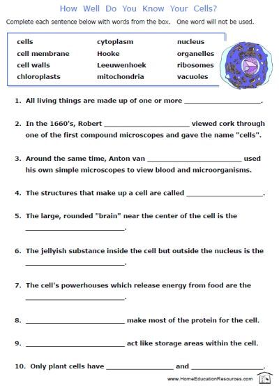 Free Printable Cells Worksheets Fill In The Blanks Biology