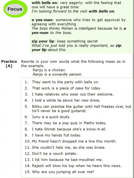 Grade 7 Grammar Lesson 16 Idioms  8