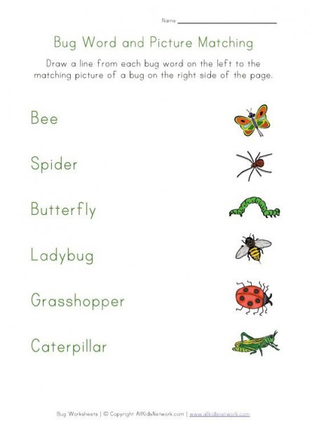 bugs-full-pages-printable-preschool-worksheet