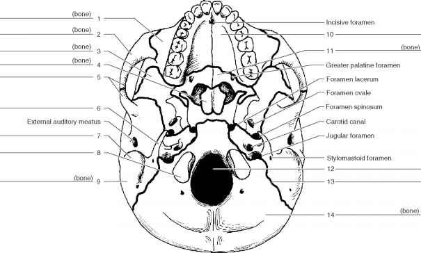 Pin On Adult Coloring