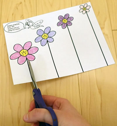 Printable Scissor Skills Practice Worksheets