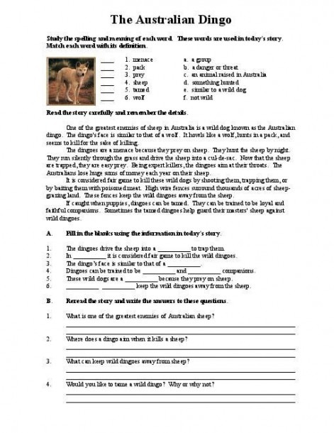 Reading Comprehension Worksheets High School Printable Free  1