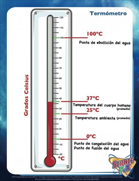 Science  Printables And  Worksheets  Completely Bilingual