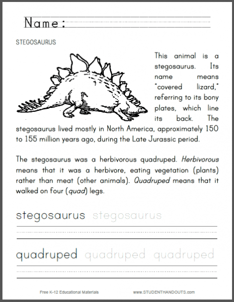 Stegosaurus Worksheet For Primary Grades