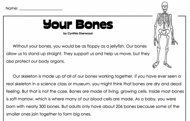 Support Teacher Worksheets Kids Your Bones
