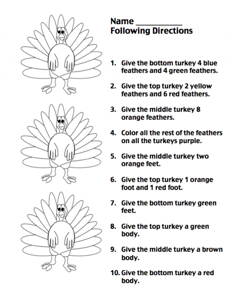 Turkey Following Directions