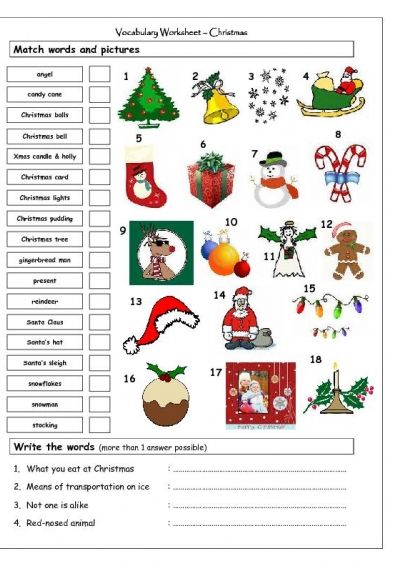 Vocabulary Matching Worksheet