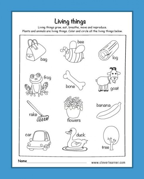 Am I Living Worksheets For Kindergarten   Livingthings