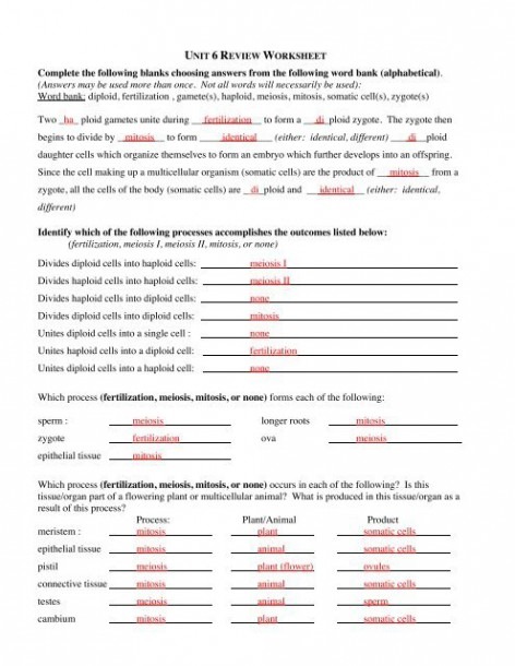 Answers To Unit 6 Review Worksheet