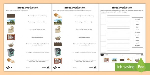 Bread Production Differentiated Worksheet   Worksheets