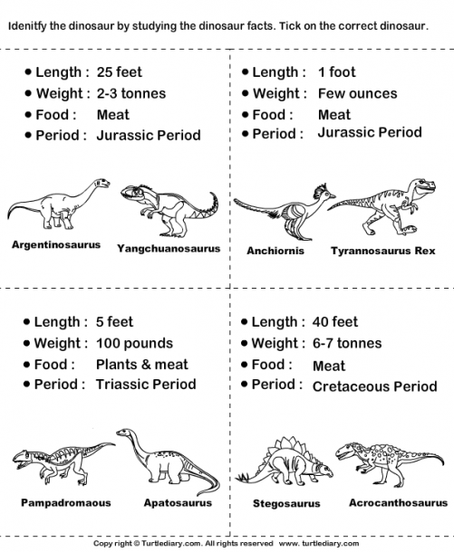 Dinosaurs Pictures And Names Worksheet