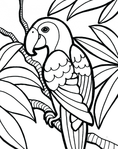 Free Coloring Pages For Middle Schoolers