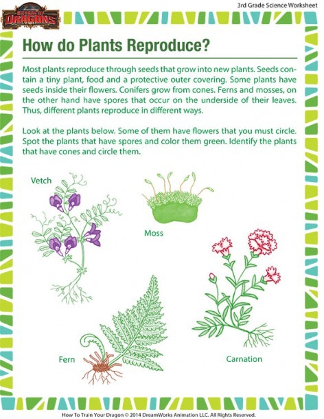 How Do Plants Reproduce  Worksheet     Grade 3 Printable     Sod