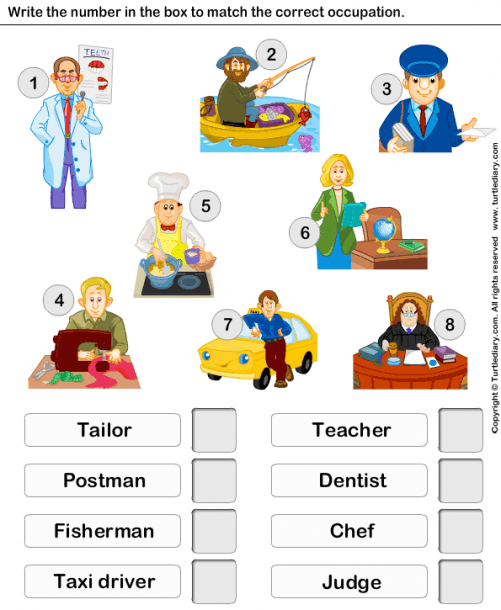 Match The Occupation With Person Worksheet