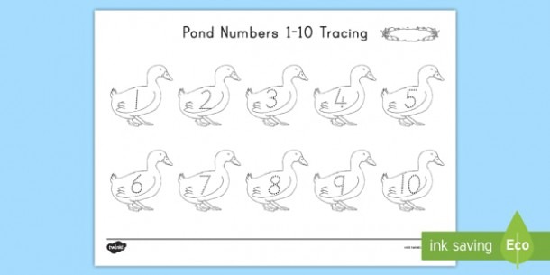 Pond Numbers 1