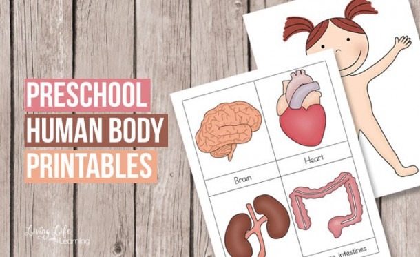 Preschool Human Body Printables