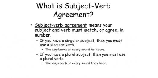 Subject Verb Agreement Test Quiz